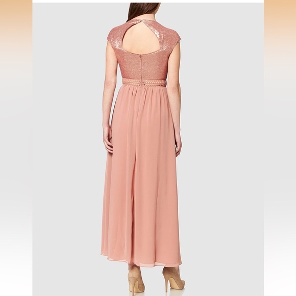 Truth & Fable Rose Blush Chiffon Maxi Dress - Picture 7 of 7